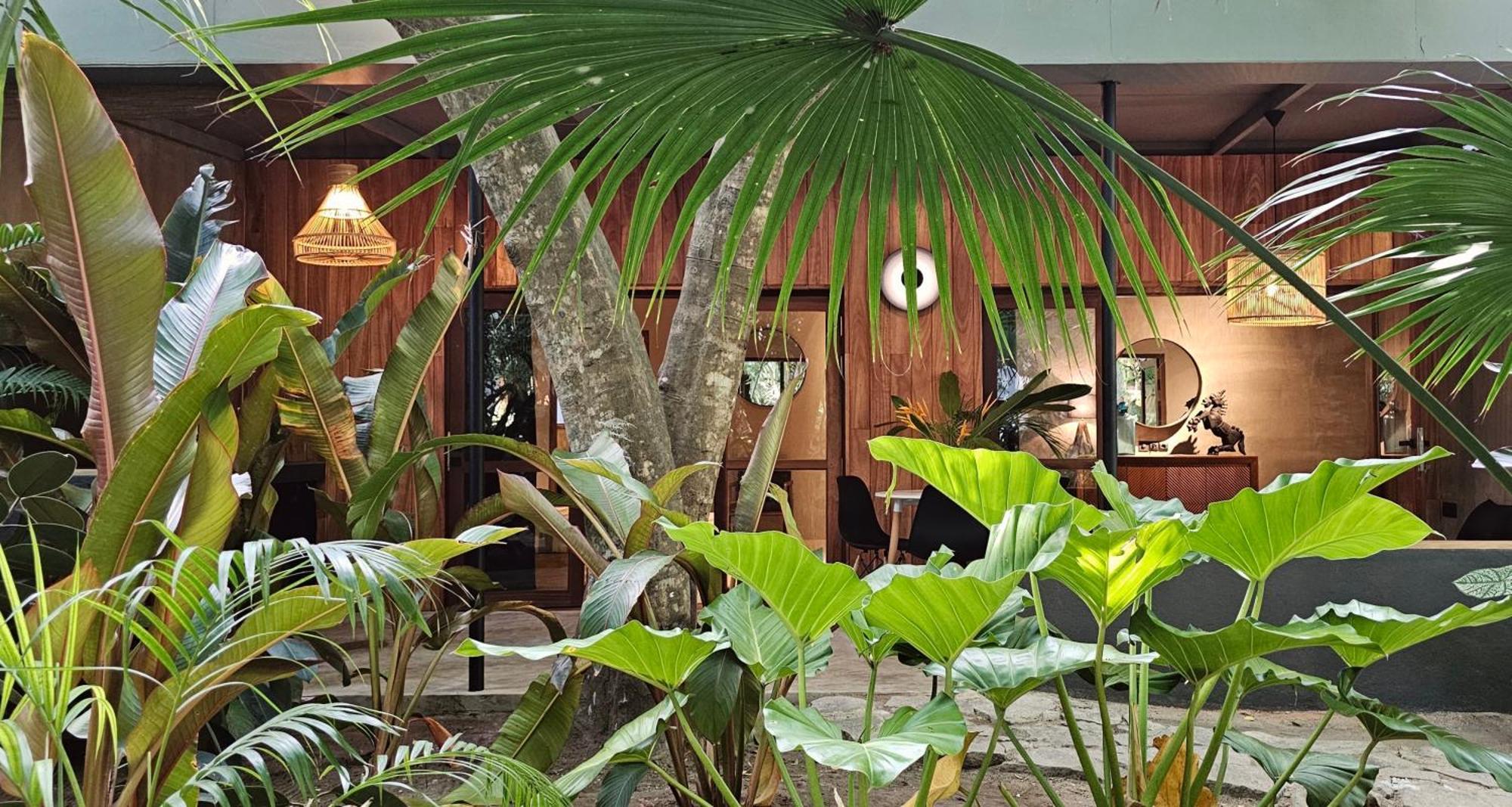 Lankavatara Ocean Retreat & Spa Tangalle Szoba fotó