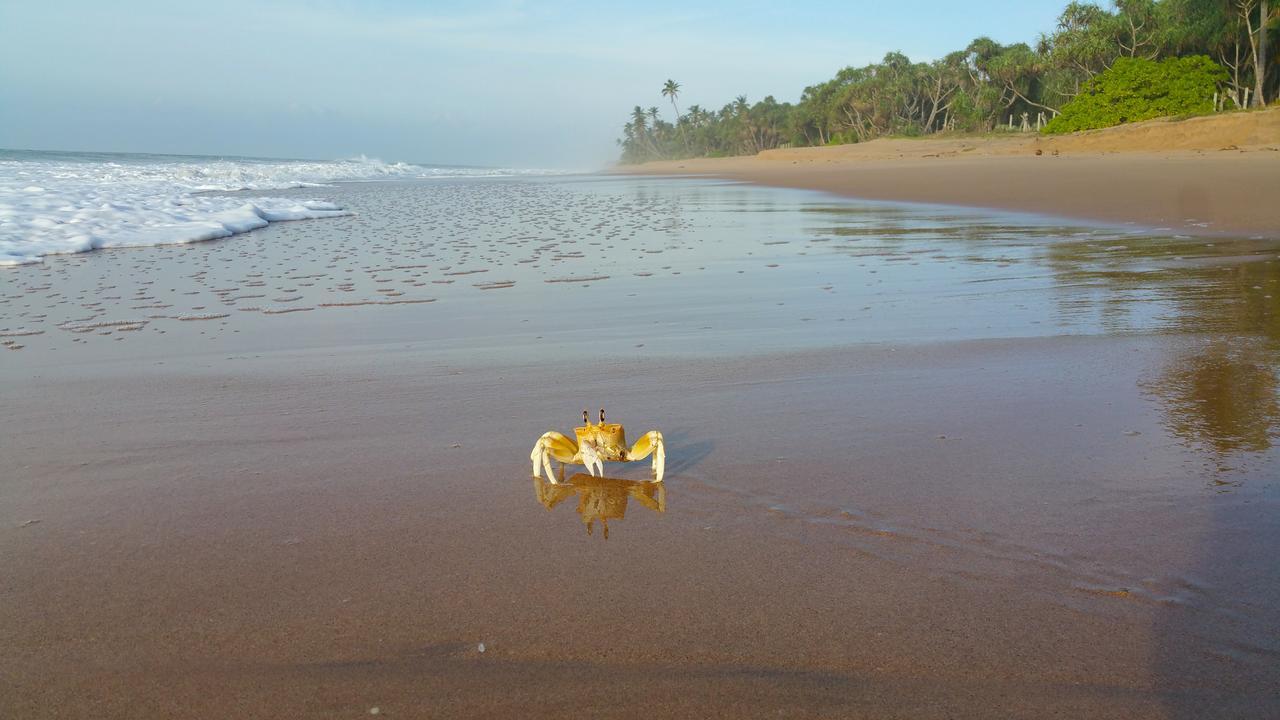 Lankavatara Ocean Retreat & Spa Tangalle Kültér fotó