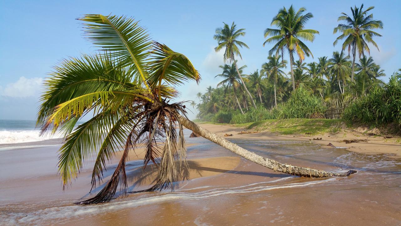Lankavatara Ocean Retreat & Spa Tangalle Kültér fotó